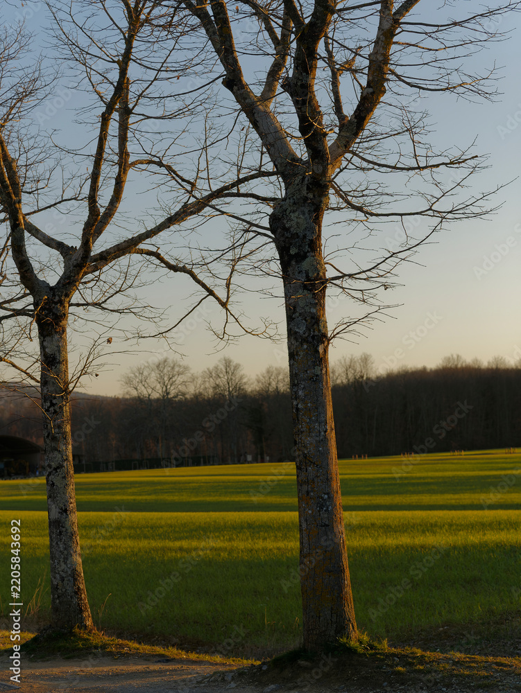 Fototapeta premium beautiful view of the countryside around siena in tuscany