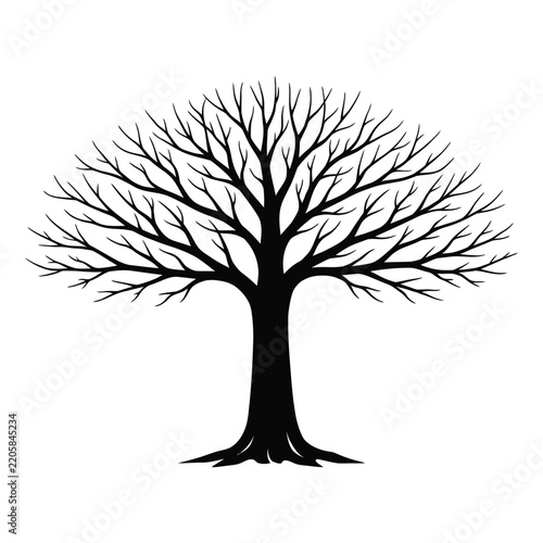 Tree Silhouette Black Branching Tree Vector Illustration For Nature, Forest, Botanical, Woodland, And Decorative Design