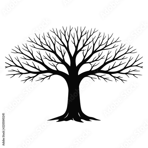 Bare Tree Silhouette Black Branching Tree Vector Illustration For Nature, Forest, Botanical, Woodland, And Decorative Design