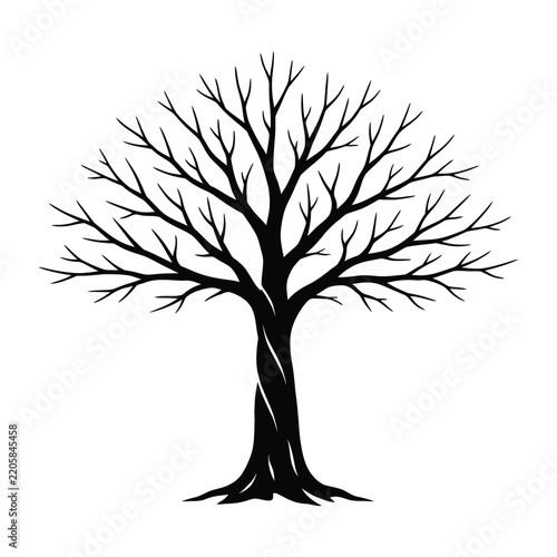 Bare Tree Silhouette Black Branching Winter Tree Vector Illustration For Nature, Forest, Botanical, And Decorative Design