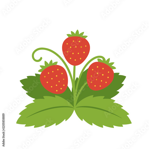 Three stylized strawberries with leaves