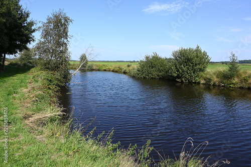 Wiegoldsburer Riede in Südbrookmerland