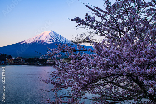 河口湖から富士山と桜