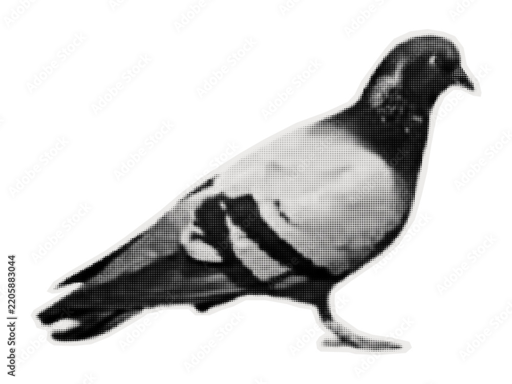 Fototapeta premium Carrier pigeon. Bird sticker on old paper for collages, scrapbooking and poster design. Vector illustration.