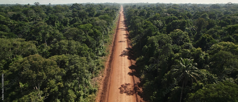 Obraz premium An aerial drone perspective of a straight red dirt road bisecting a dense tropical rainforest under bright daylight, suitable for environmental and adventure travel backgrounds.