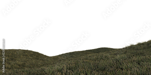 green grass landscape horizon 3d png hill high quality rendering background wallpaper illustration