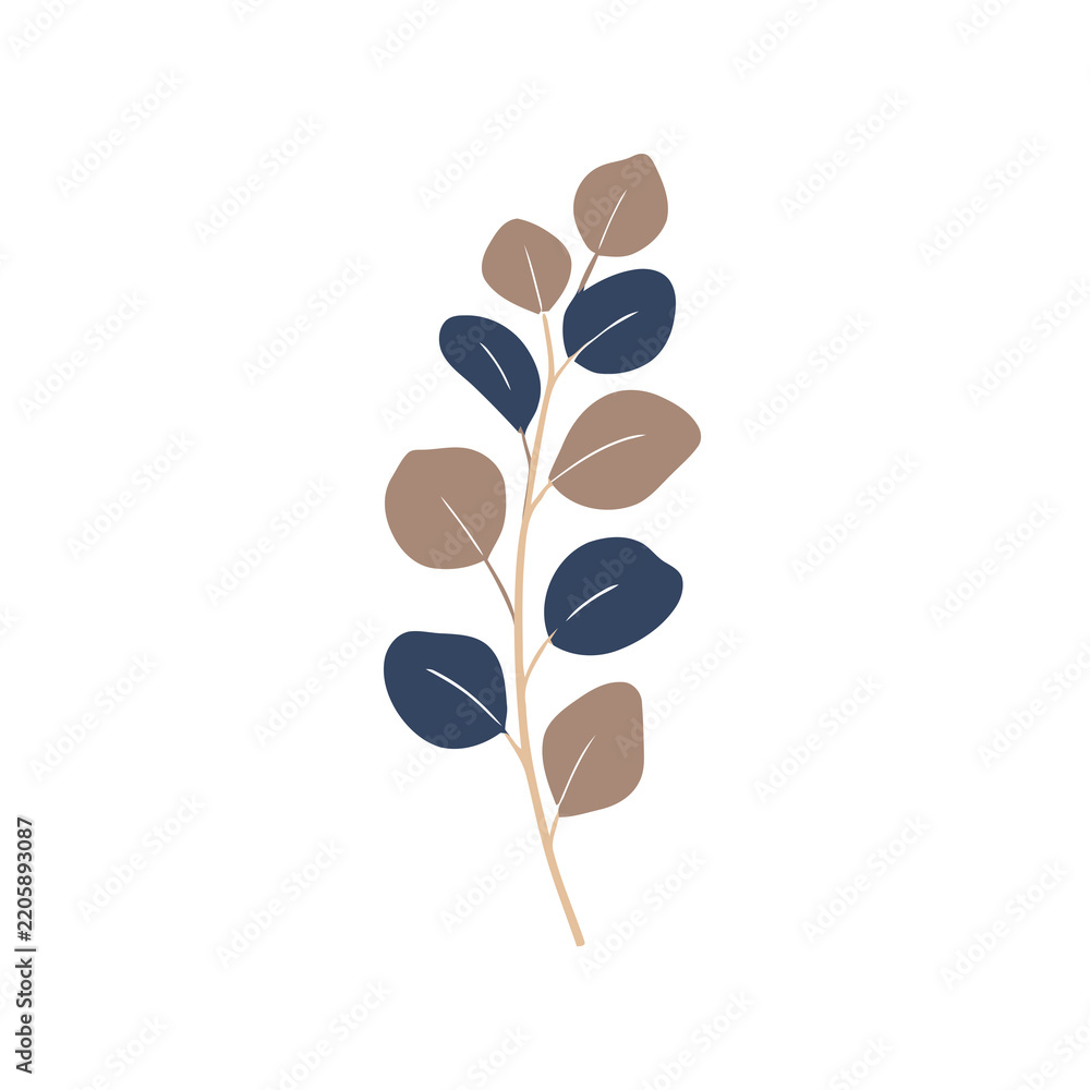 Obraz premium Eucalyptus branch with leaves