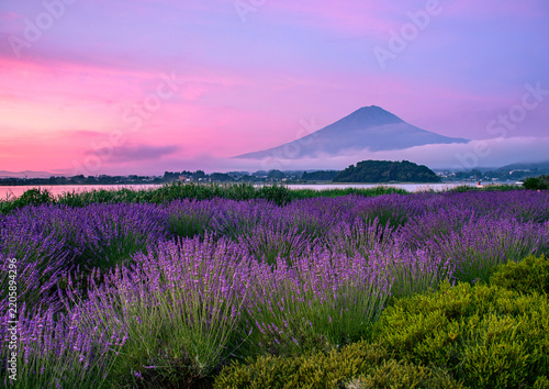 河口湖から富士山とラベンダー