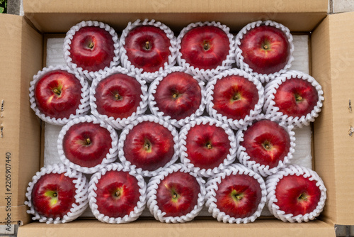 Fresh Jonathan Apples Neatly Arranged in Open Delivery Box, Japan