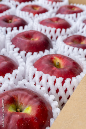 Fresh Jonathan Apples Neatly Arranged in Open Delivery Box, Japan