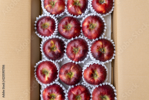 Dark Red Akibae Apples Neatly Arranged in Open Delivery Box, Japan