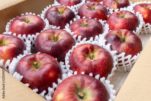 Dark Red Akibae Apples Neatly Arranged in Open Delivery Box, Japan