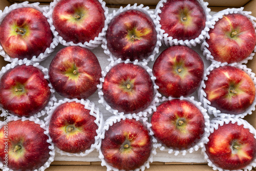 Dark Red Akibae Apples Neatly Arranged in Open Delivery Box, Japan