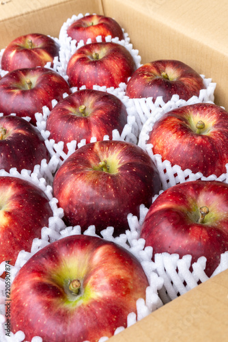 Dark Red Akibae Apples Neatly Arranged in Open Delivery Box, Japan