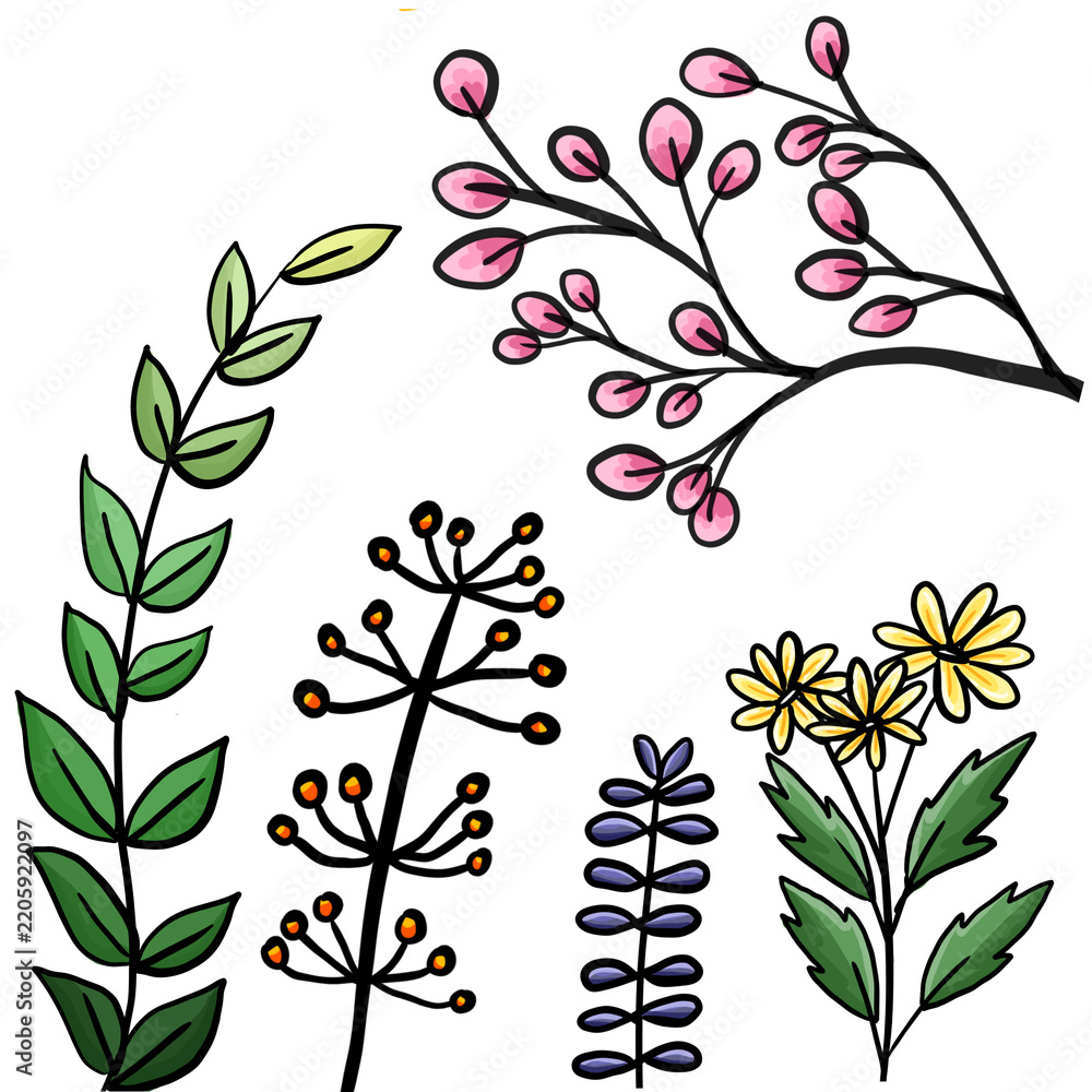 Obraz premium Hand drawn floral element set with flowers and leaves isolated on transparent background