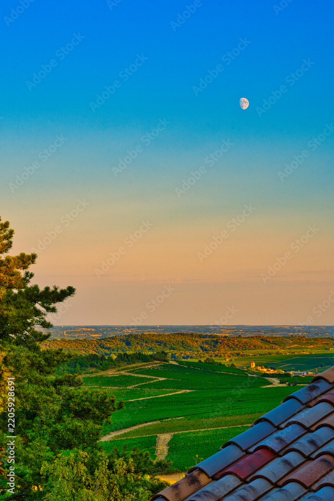 Fototapeta premium Bourgogne, Frankreich