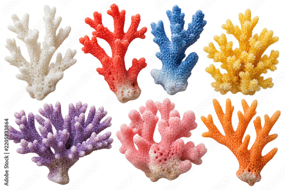 Obraz premium A vibrant collection of coral pieces in various colors and shapes, including white, red, blue, yellow, purple, pink, and orange , transparent background, AI generative