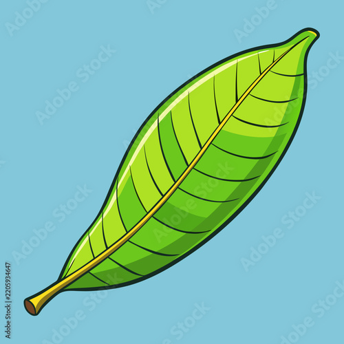 green leaf isolated on white background