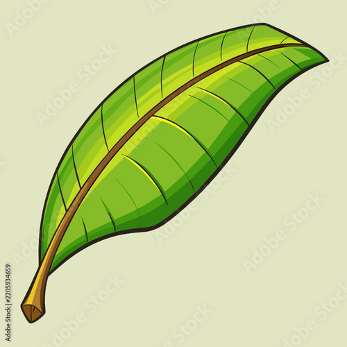 green leaf vector illustration