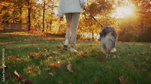 Person walking dog in autumnal park with sun shining through golden trees.