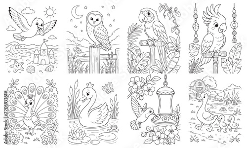 Birds Coloring pages