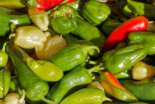 Poivrons verts, rouges et blancs à l’étalage du marché