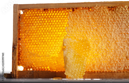 Wooden beehive frame with honeycombs. Combs full of honey, some with wax caps cut off.
