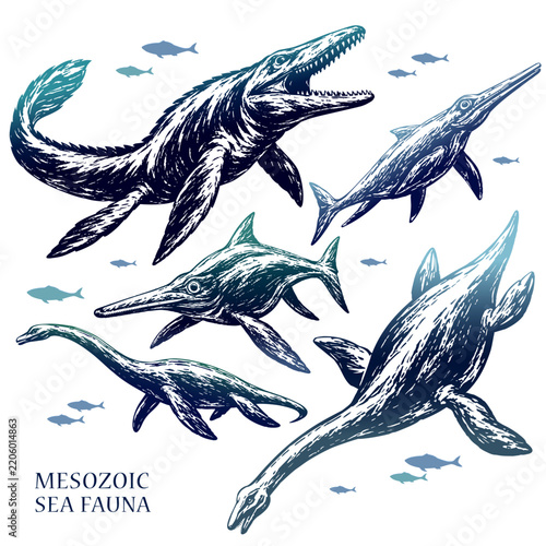 Mesozoic Sea Fauna Elements Set