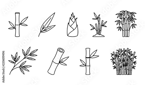 Minimal Bamboo Plant Outline Pictograms Vector Icon Collection