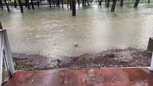 Forward-moving shot across a canal bridge overlooking a flooded park with large trees during rainfall.