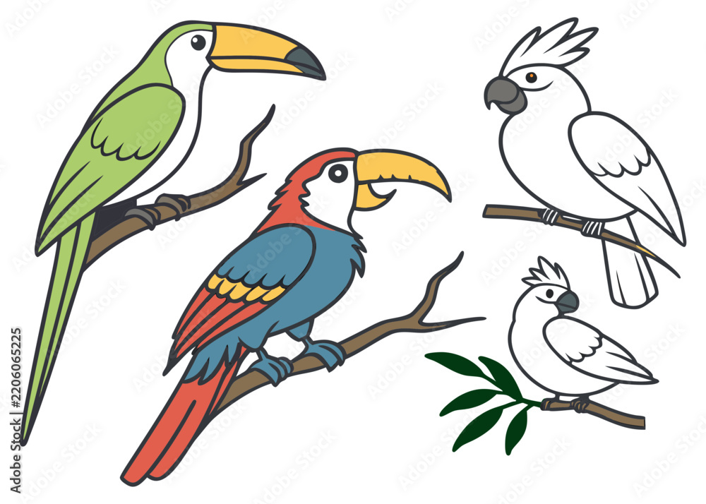 Obraz premium Colorful Tropical Birds Set