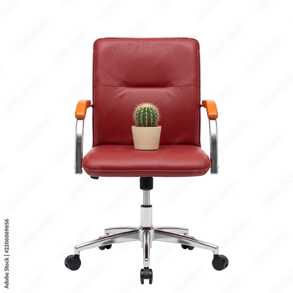 Obraz premium Office Chair with Small Cactus Plant Isolated