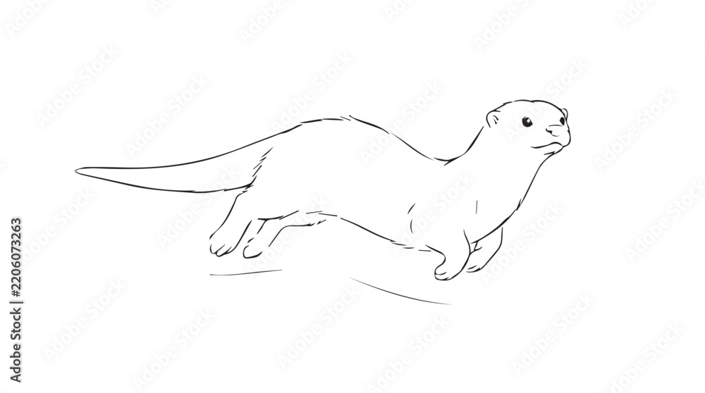 Obraz premium Minimalist outline illustration of a playful otter swimming on a textured vintage background