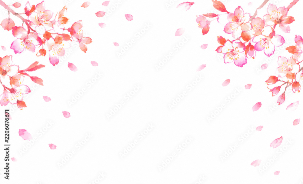 Naklejka premium 桜の花と舞う花びらの水彩フレーム｜春・和風・日本の桜を描いた背景素材