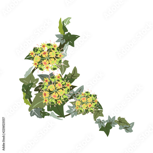 A beautiful stylized floral ornament featuring ivy leaves and flowers. A rhythmic botanical pattern. A vintage botanical composition with fanciful plant elements.
