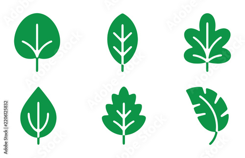 Green leaf icons set illustrating botanical variety for nature themed designs and organic branding.