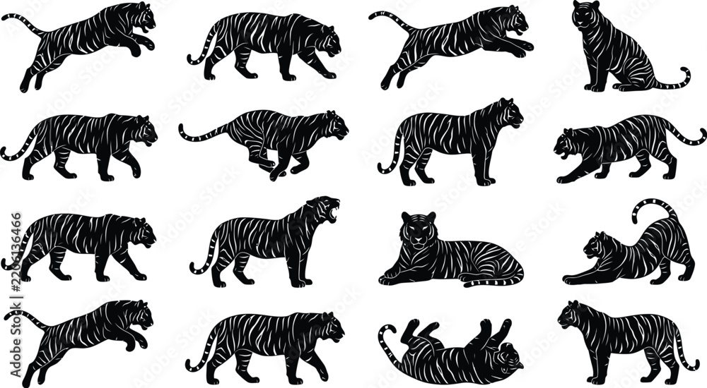 Obraz premium Tiger silhouette poses black and white set
