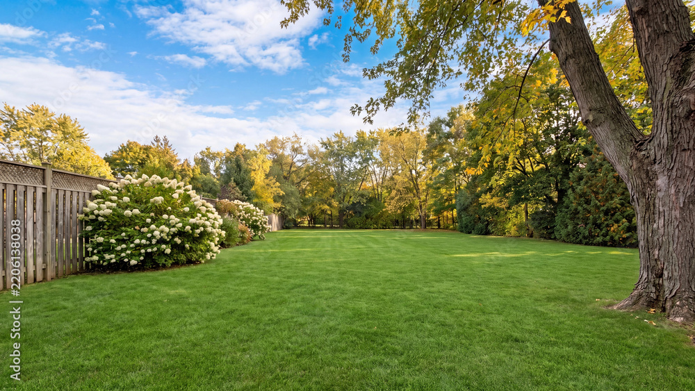 Fototapeta premium Residential suburban backyard lawn with wooden fence, spacious green grass backyard landscape in autumn, residential real estate garden yard