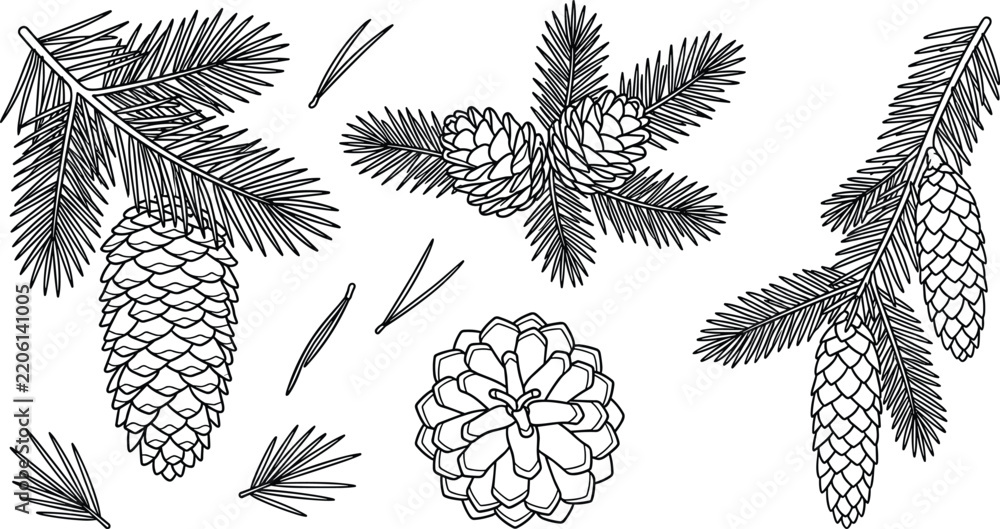 Obraz premium Pinecone Icon Set with Fir Tree Branches Needles Cedar Sprigs and Spruce Cones Winter Line Art Graphics