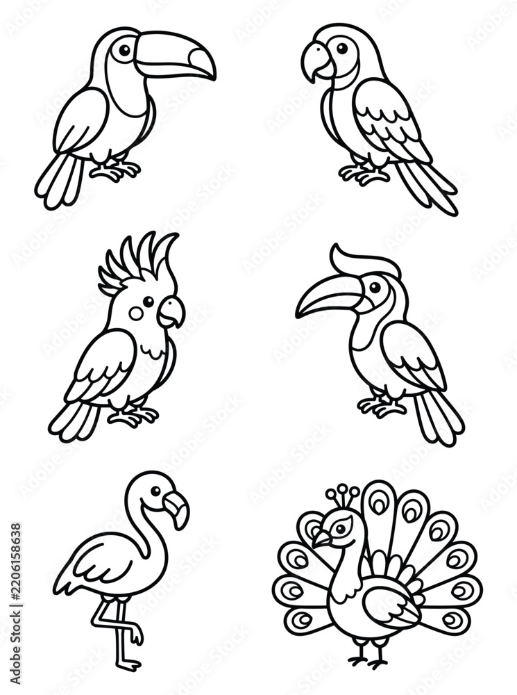 Fototapeta premium Tropical bird coloring book line art vector illustration set with toucan parrot cockatoo flamingo peacock