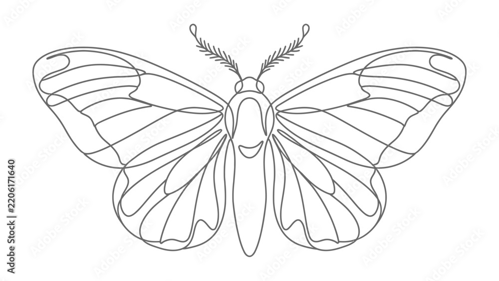 Fototapeta premium Line Art Butterfly Illustration: A detailed line drawing of a butterfly, showcasing the intricate patterns of its wings and body, perfect for creative projects.