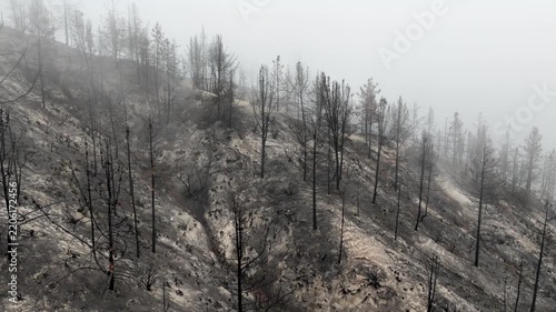 Aerial of a burnt mountainside from a recent wildfire. Near Los Angeles California.