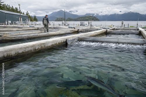 Fish farm ponds and aquaculture infrastructure