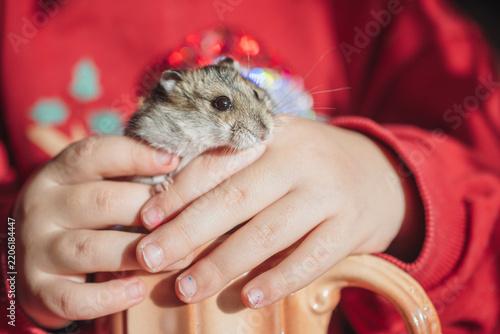 Child's hands are holding a small, cute lemming