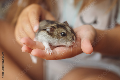 Child's hands are holding a small, cute lemming