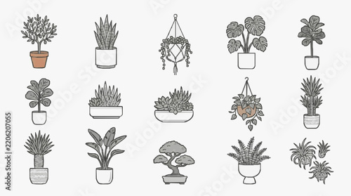 Collection of Indoor Houseplants in Stylish Pots for Home Decoration