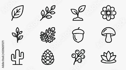 Collection of Nature Inspired Botanical Line Icons for Design Projects