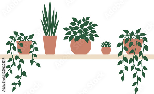 Boho indoor house plants on shelf terracotta pots flat vector illustration