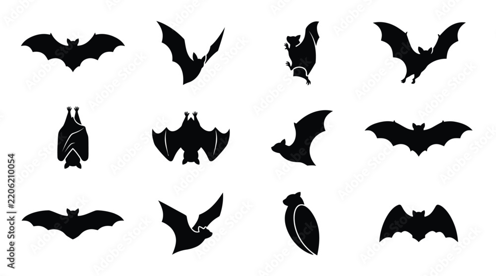 Fototapeta premium Various black silhouette bats in different flying and hanging poses