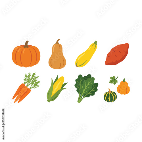 Set of colorful autumn harvest vegetables and pumpkins illustration